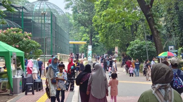 Taman Margasatwa Ragunan ramai pengunjung siang ini