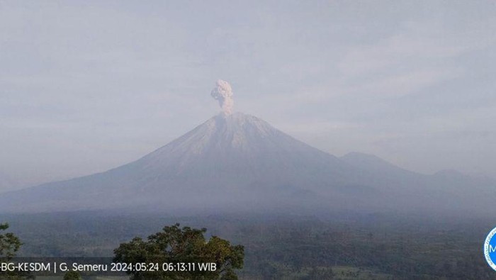 Gunung Semeru Melontarkan Abu Vulkanik yang Membludak hingga 900 Meter, Letusan Berulang Enam Kali