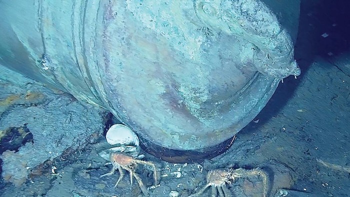 A cannon of the wreck of the galleon San Jose, which sank in 1708 near the port of Cartagena, is seen during an underwater exploration by the Colombian Navy, in this handout image distributed on May 10, 2024. Colombian Army/Handout via REUTERS ATTENTION EDITORS - THIS IMAGE WAS PROVIDED BY A THIRD PARTY. NO RESALES. NO ARCHIVES. MANDATORY CREDIT