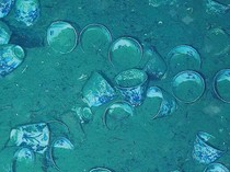 Harta Karun Incaran Dunia Berusia 300 Tahun Terkuak!