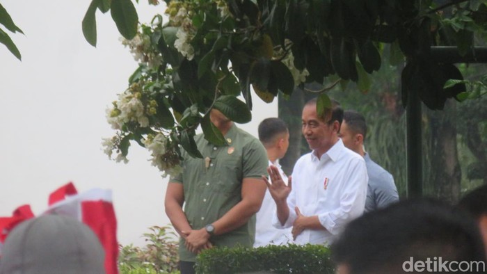 Jokowi di Jogja Momen Jokowi membagikan bingkisan berisi bahan pokok kepada warga maupun turis yang memadati kawasan Malioboro, Jogja, pada Jumat (24/5/2024).