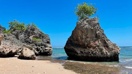 Pantai Bingin, Kuta Selatan, Bali. (Tangkapan layar Google Earth/Ribal Awad)