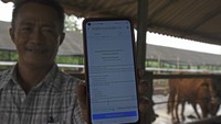 Peternak memperlihatkan sertifikat kesehatan hewan bebas penyakit kuku dan mulut (PMK) di Curug, Serang, Banten.