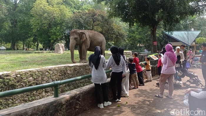 * Iqbal Ajak Anak-anak Menjelajahi Dunia Satwa di Ragunan Selama Libur Panjang