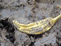 Arkeolog Temukan Makam Kuno di Jerman, Diduga Milik Wali Kota Zaman Batu