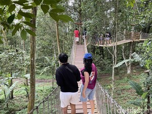 The Grand Lagunas, Wahana Permainan Seru di Hutan Batur Selatan