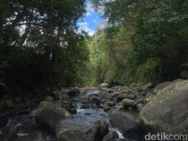 Wisata Alam Semongkat di Sumbawa, Nikmati Sensasi Sejuk Tengah Hutan