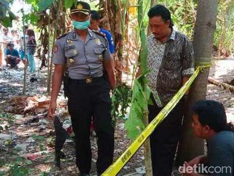 Amira bocah Pasuruan