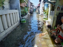 BMKG Umumkan Wilayah-wilayah Waspada Banjir Rob dalam Waktu Dekat