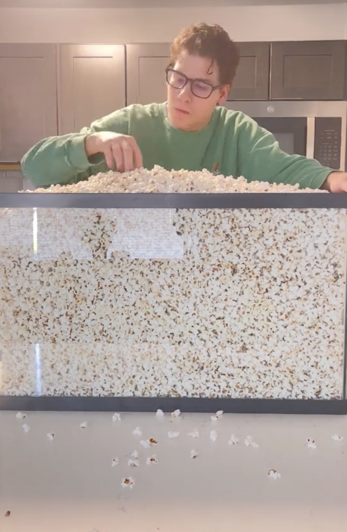 Gokil! TikToker Ini Makan Camilan yang Diisi di Akuarium 100 Liter Gokil! TikToker Ini Makan Camilan yang Diisi di Akuarium 100 Liter