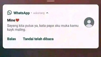 Mau gimana lagi, masa harus oplas dulu. Foto: X/txtdariwhatsap