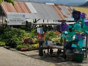 Pasar Bunga Sekar Mulyo Batu, Rekomendasi Pusat Tanaman Hias Terbaik