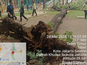 Kisah Ibu Terkena Pohon Tumbang Saat Selamatkan Anak di Tebet Eco Park