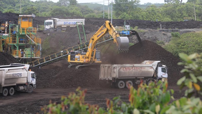 Sejumlah alat berat beroperasi di kawasan penambangan batu bara Desa Sumber Batu, Kecamatan Meureubo, Aceh Barat, Aceh, Jumat (24/5/2024). Kementerian Energi dan Sumber Daya Mineral (ESDM) telah menetapkan Harga Batubara Acuan (HBA) yang terbagi dalam empat kategori harga komoditas batubara dengan harga tertinggi sebesar 114 dolar AS per ton dan terendah 36,39 dolar AS per ton tergantung kualitas dan nilai kalor batu bara. ANTARA FOTO/Syifa Yulinnas/foc.