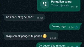 Lagi nggak ditelepon dari tadi, sih. Foto: X/txtdariwhatsap