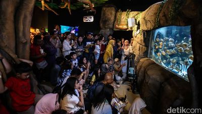 Serunya Habiskan Libur Panjang di Jakarta Aquarium dan Safari