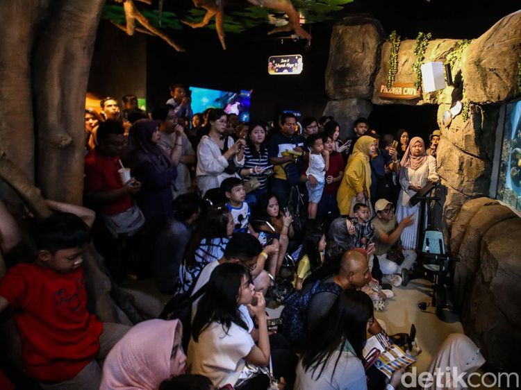 Serunya Habiskan Libur Panjang di Jakarta Aquarium dan Safari