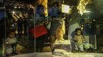 Serunya Habiskan Libur Panjang di Jakarta Aquarium dan Safari