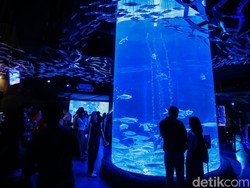 Jakarta Aquarium & Safari, Wisata Akuarium di Dalam Mall Neo Soho
