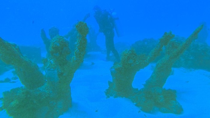 Wisatawan melihat patung tari kecak saat menikmati wisata bawah air di perairan Nusa Dua, Bali, Jumat (24/5/2024). Wisata bawah air dikawasan tersebut menghadirkan beberapa jenis kegiatan diantaranya sea walker dan diving. ANTARA FOTO/Muhammad Adimaja