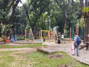 Pemprov Cek Kondisi Pohon Berkala Buntut Pohon Timpa Warga di Tebet Eco Park