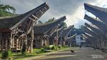 Menikmati Kopi Toraja di Tanahnya Tumbuh