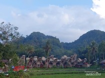 Menikmati Kopi Toraja di Tanahnya Tumbuh