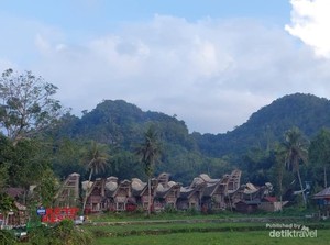 Menikmati Kopi Toraja di Tanahnya Tumbuh