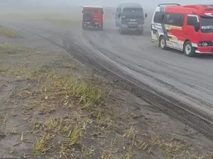 Kades Buka Suara soal Rombongan Elf Masuk Lautan Pasir Bromo