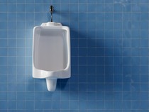 Pernah Lihat Lalat di Urinoir Toilet Pria? Ternyata Bikin Toilet Bersih!