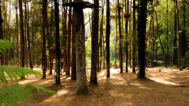 desa wisata poncokusumo malang