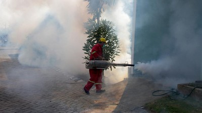 Fogging untuk Cegah DBD di Sidoarjo