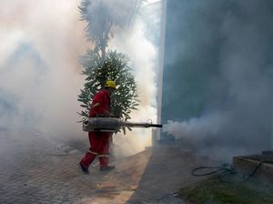 Fogging untuk Cegah DBD di Sidoarjo