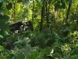 Ini Penyebab Elf Masuk Jurang Pletes Malang
