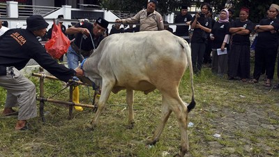 Pelatihan Penyembelihan Hewan Kurban Jelang Idul Adha