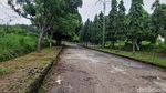 Potret Kota Mati di Lampung, Bangunan Terbengkalai hingga Jalan Rusak