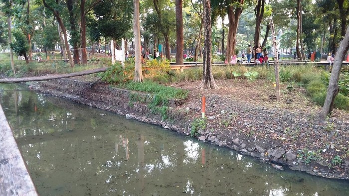 Saluran air di Tebet Eco Park dikeluhkan warga karena menimbulkan bau tak sedap (Fawdi/detikcom)