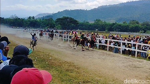 Suasana pacuan kuda tradisional di Dompu, NTB, Minggu (26/5/2024). (Faruk Nickyrawi/detikBali)