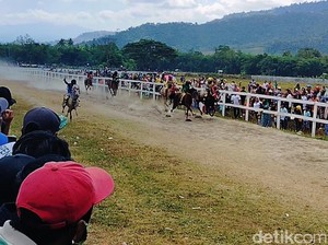 Serunya Menonton Pacuan Kuda Tradisional di Dompu, Ditunggangi Joki Cilik