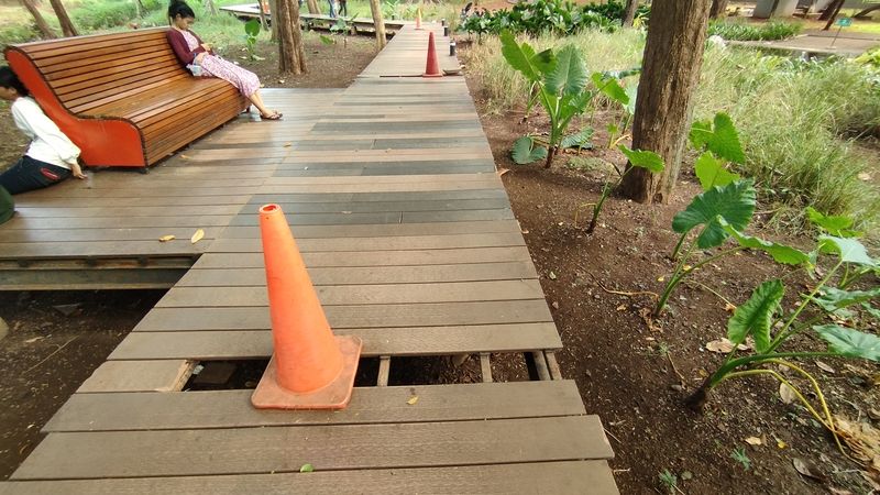 Salah satu pohon tumbang di Tebet Eco Park, Jakarta Selatan (Jaksel), menimpa warga hingga alami cidera. Fasilitas di Tebet Eco Park juga masih dalam kondisi rusak, Minggu (26/5/2024).