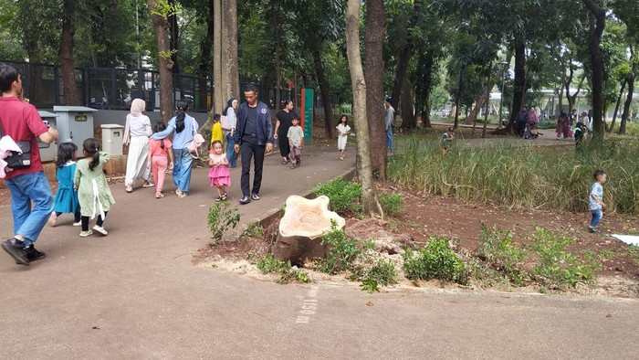 Pasca Pohon Raksasa Tumbang, Tebet Eco Park Menanti Pemulihan yang Komprehensif