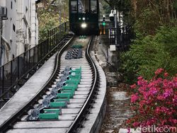 Mengintip Hasil Foto Vivo X100 Pro yang Akan Rilis di Indonesia