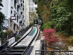 Mengintip Hasil Foto Vivo X100 Pro yang Akan Rilis di Indonesia