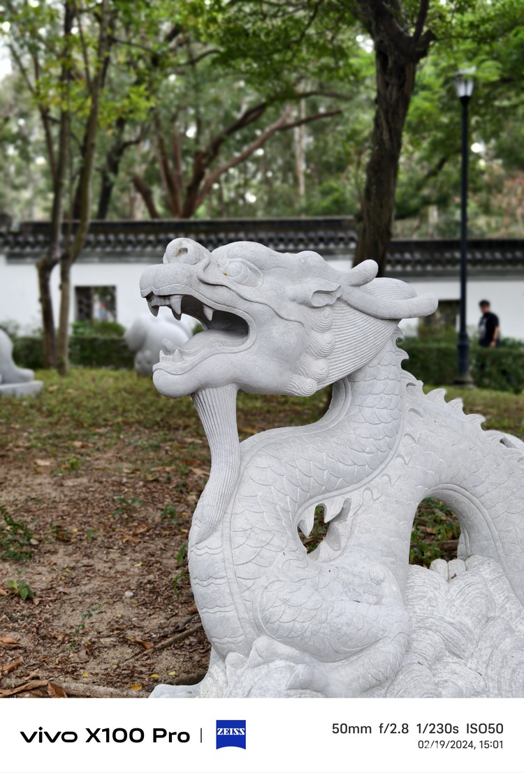 Vivo X100 Pro Hasil foto Vivo X100 Pro