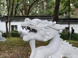 Mengintip Hasil Foto Vivo X100 Pro yang Akan Rilis di Indonesia