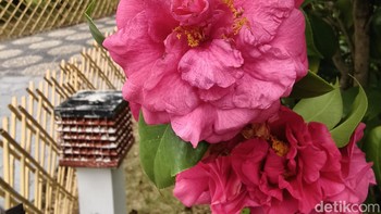 Ponsel ini, bersama dengan Vivo X100, sudah mendapatkan sertifikat TKDN Kemenperin dan Postel Kominfo sejak November 2023. Foto: Virgina Maulita Putri/detikINET