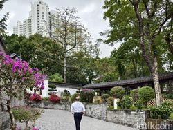 Mengintip Hasil Foto Vivo X100 Pro yang Akan Rilis di Indonesia