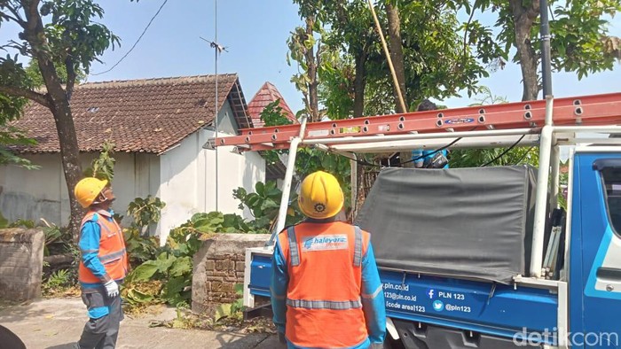 Petugas PLN di lokasi kejadian orang tersengat listrik desa Trasan, Kecamatan Juwiring, Klaten, Minggu (26/5/2024).