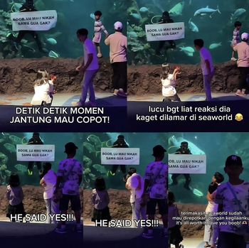 Aksi wanita yang berani melamarnya ketika berada di Sea World, Ancol mendadak viral di media sosial