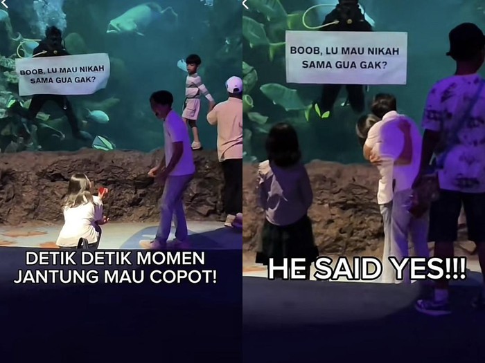 Aksi wanita yang berani melamarnya ketika berada di Sea World, Ancol mendadak viral di media sosial